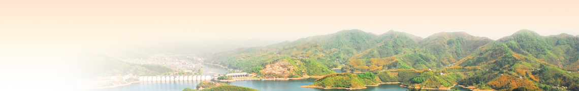 中国民主促进会六安市委员会